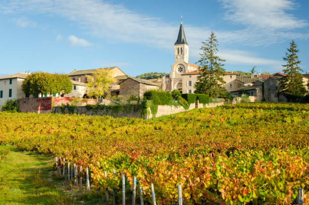 Village of Beaujolais at fall Village of Beaujolais at fall, view of vineyard and church beaujolais region stock pictures, royalty-free photos & images