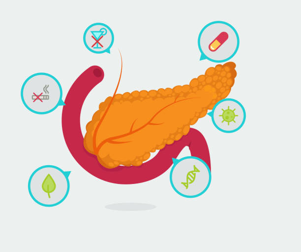 Pancrease Cancer Clip Art 60+ Pancreatic Cancer Symbols Clip Art Stock Illustrations, Royalty ...