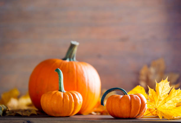 maple leaves and pumpkins on wooden table. Image in autumn Thanksgiving day style