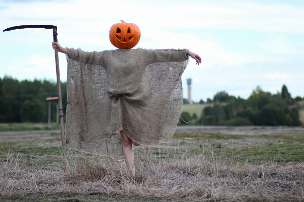 istock scarecrow pumpkin head in a field 865543882