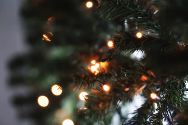 istock garland lights on fir tree branch blured background 865549092