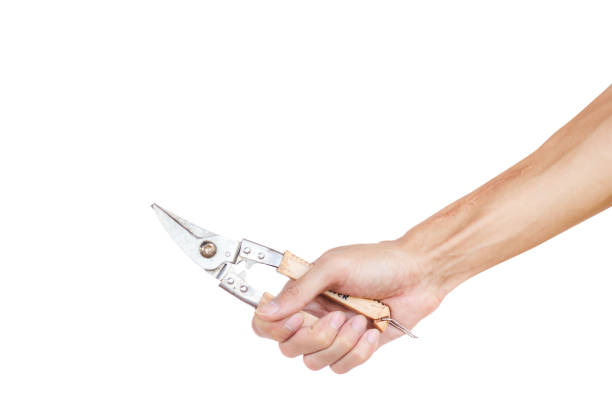 Hand holding pliers isolated on white background with clipping path. Pliers are torque tools for gripping things such as sheet metal, electrical wire, small tubes and wire etc. in the construction.