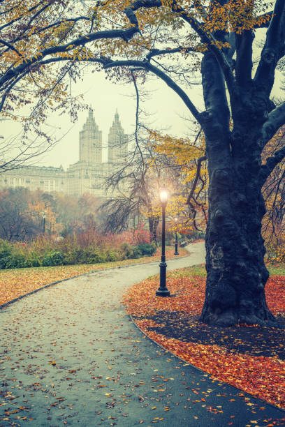 istock NY Central park at foggy morning 865556038