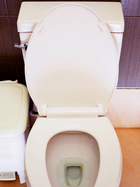 istock White flush toilet seat with trash bin 865556328