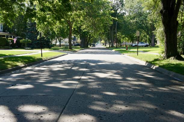 istock View of a Tree Lined Street 865562730