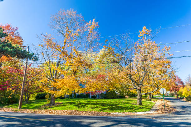 istock Colors of the fall foliage 865574300