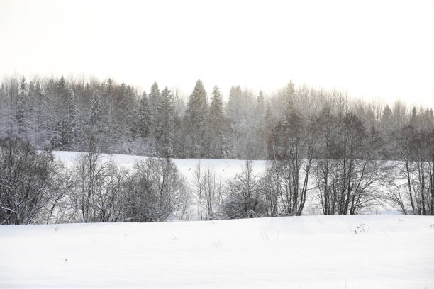 istock Landscape in the winter cloudy day 865574346