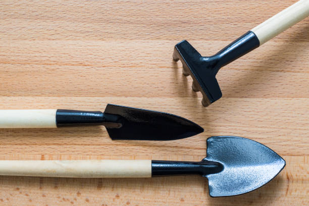 istock Small gardening tools shovel and rake 865577546
