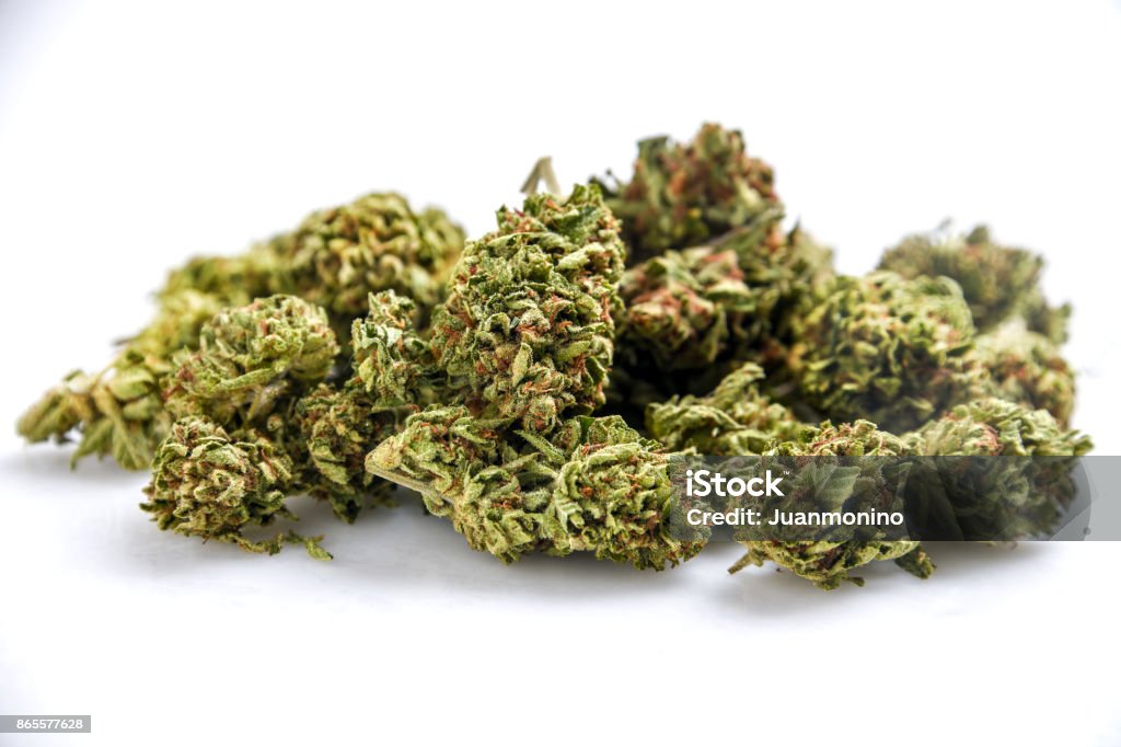 Organic Cannabis Heap of Organic Cannabis on white background Cannabis Plant Stock Photo