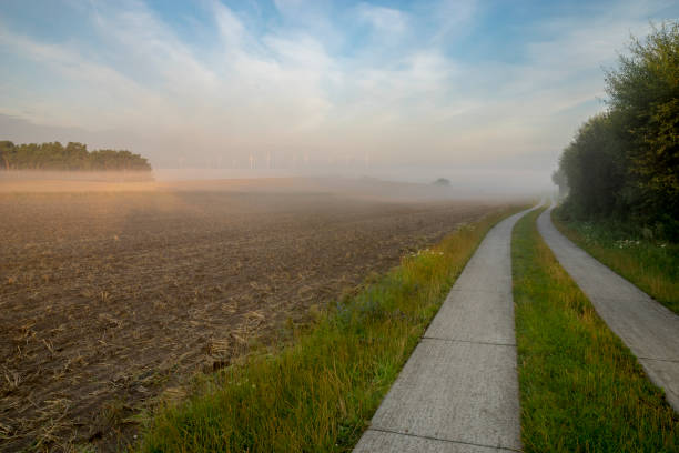 壮大な霧日の出の間、穀物のフィールド - morning cereal plant fog corn crop ストックフォトと画像