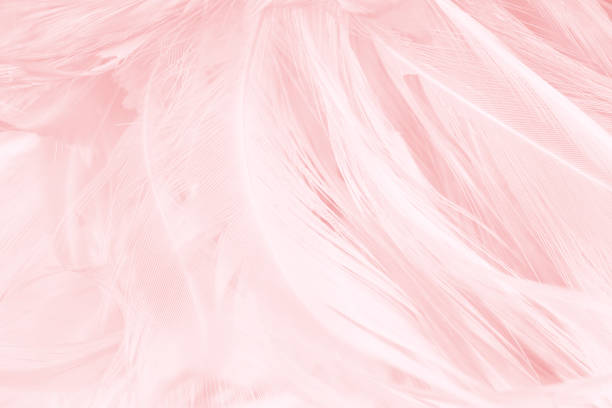 istock Coral Pink vintage color trends feather texture background 865581098