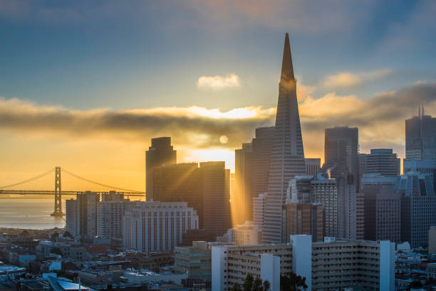 istock San Francisco Skyline under Low Fog 865585386
