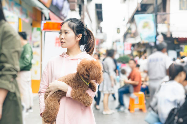 woman holding her puppy traveling at nanchan temple stock photo