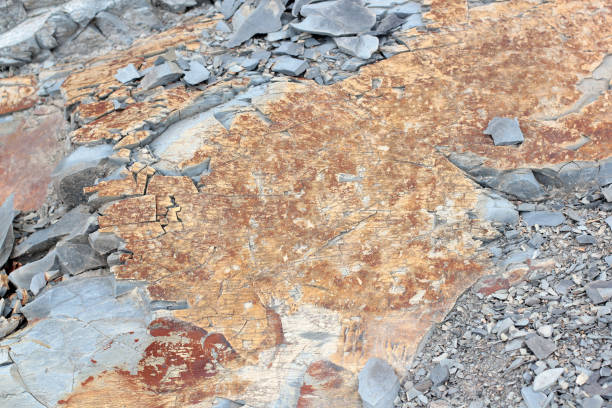 Cracks and colorful layers of sandstone background. A big heap of sandstones, storage space of various natural sandstone. The pattern of the variegated sandstones. Layers of toning colored stones grietas y capas de colores de fondo de la piedra arenisca. un gran montón de piedras areniscas, espacio de almacenamiento de piedra arenisca natural varios. el patrón de las areniscas abigarradas. capas de piedras de colores de tonificación