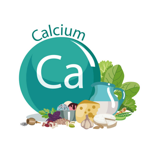 kalzium in der nahrung - milchprodukte stock-grafiken, -clipart, -cartoons und -symbole