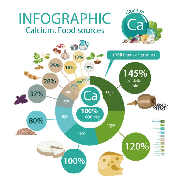ilustraciones, imágenes clip art, dibujos animados e iconos de stock de infografía "calcio. fuentes de alimentación". - green bean bean salad food