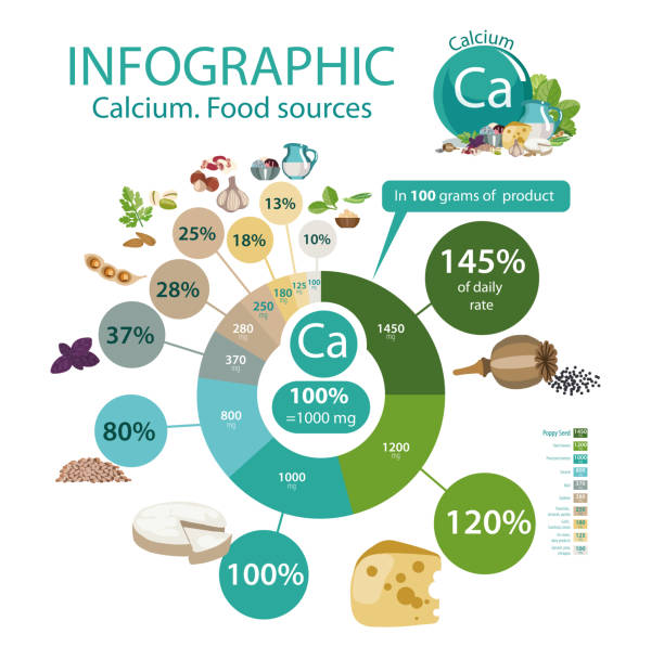 инфографика "кальций. источники питания». - green bean bean salad food stock illustrations