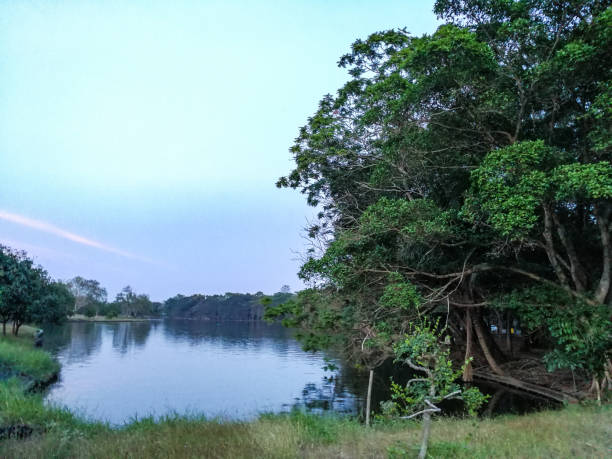 istock The landscape in nature. 865596070