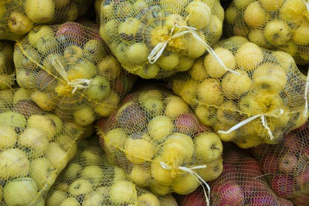 istock ripe apples for industry in a mesh bags 865596456