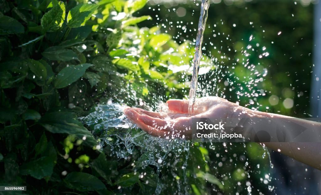 Water pouring in woman hand on nature background, environment issues Water Stock Photo