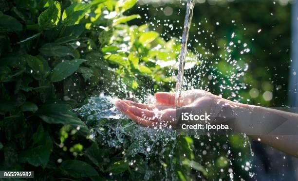 Water Pouring In Woman Hand On Nature Background Environment Issues Stock Photo - Download Image Now