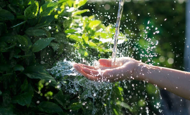 вода льется в руку женщины на фоне природы, вопросы окружающей среды - hand shower стоковые фото и изображения