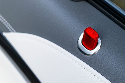 Door handle with red lock contol buttons of a luxury passenger car. Black leather interior of the luxury modern car. Modern car interior details