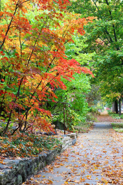 istock Beautiful autumn nature background. 865604482