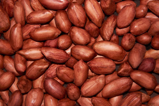 istock Red grain peanut on the entire background. Food background. 865611498