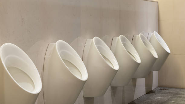 istock White urinals ceramic and tree in men's bathroom 865611606