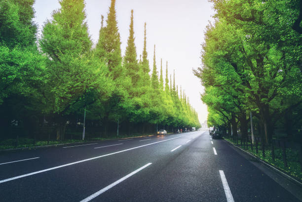 Side Rode 210+ Sideroad Stock Photos, Pictures & Royalty-Free Images - iStock
