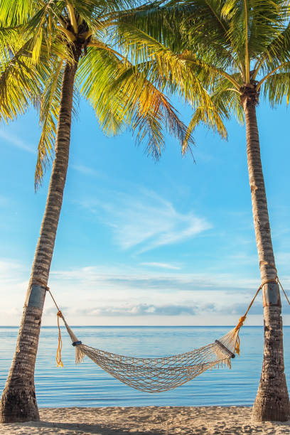 istock Hammock under palm trees at sunrise beach 865612730