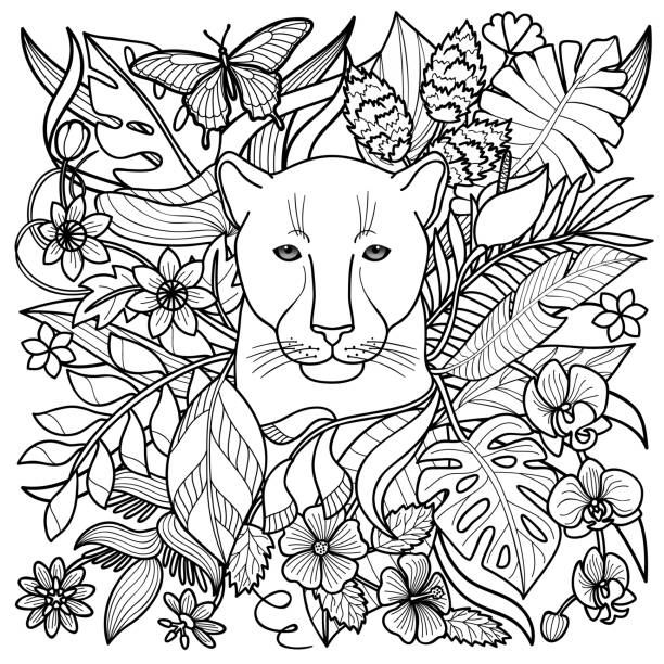 Panther Coloring Page Jungle pattern with panther, flowers and leaves. Outline coloring page, textile print, exotic squared composition. mountain lion tree stock illustrations