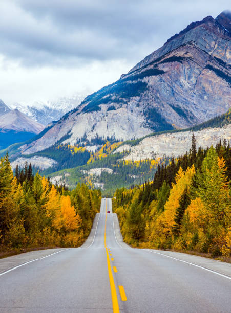 istock Powerful Rockies of Canada 865620446