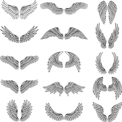 Monochrome illustrations set of different stylized wings for logos or labels design projects. Vector pictures set of line wings bird or angel