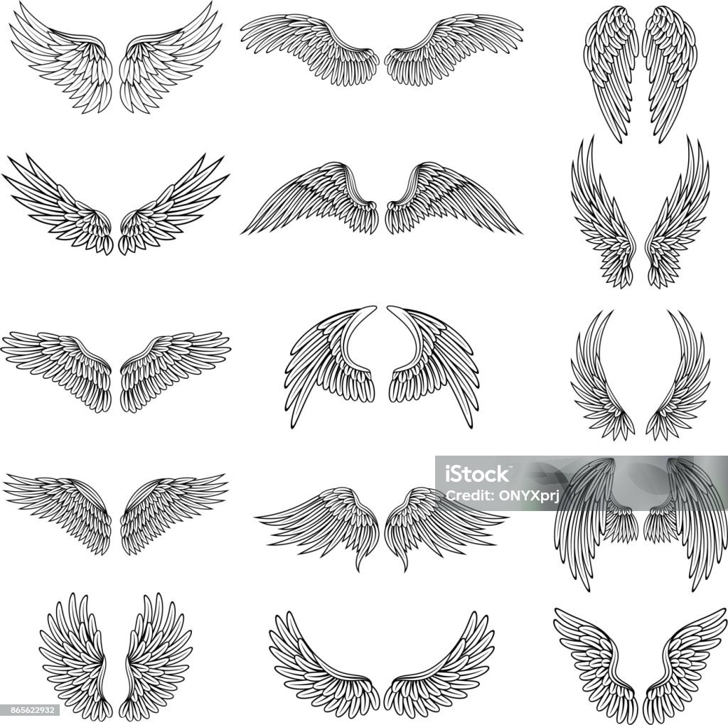 Monochrome illustrations set of different stylized wings for logos or labels design projects. Vector pictures set Monochrome illustrations set of different stylized wings for logos or labels design projects. Vector pictures set of line wings bird or angel Animal Wing stock vector