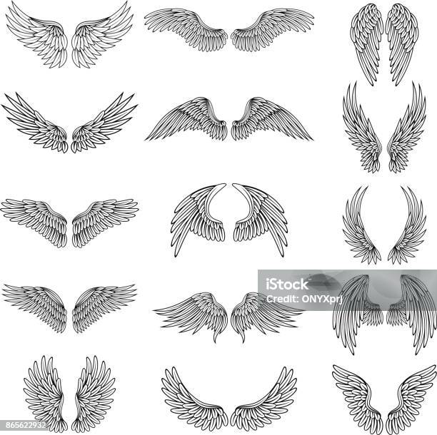 Monochrome Illustrations Set Of Different Stylized Wings For Logos Or Labels Design Projects Vector Pictures Set Stock Illustration - Download Image Now