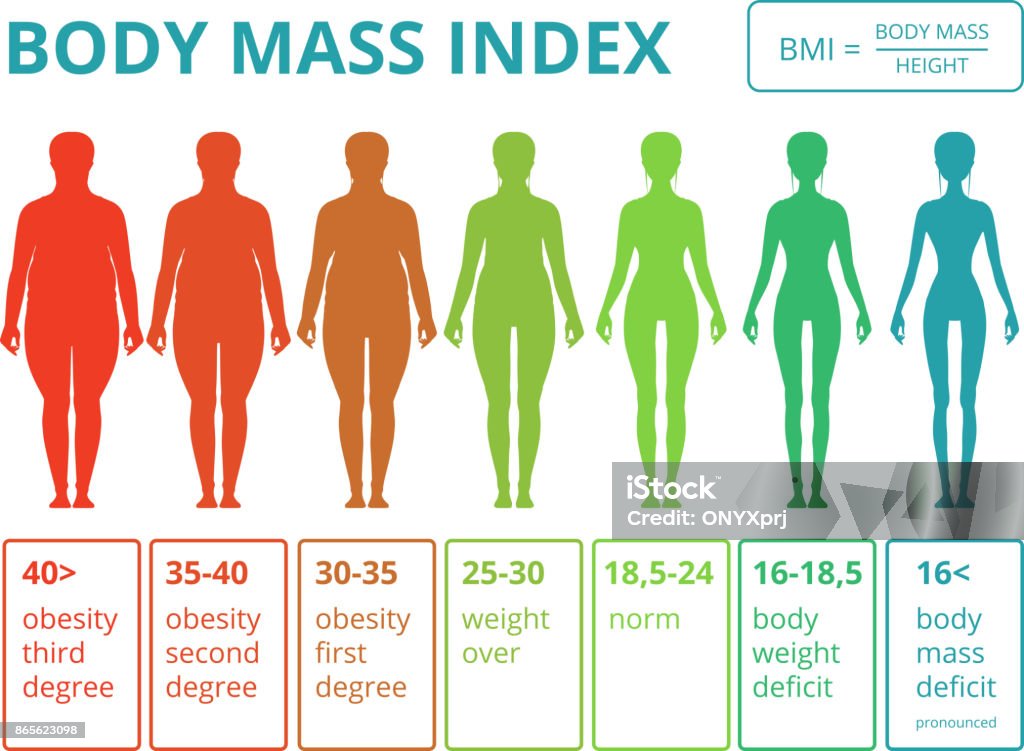 Medical Infographics With Illustrations Of Female Body Mass Index Scales  From Fat To Fitness Woman Stock Illustration - Download Image Now - iStock