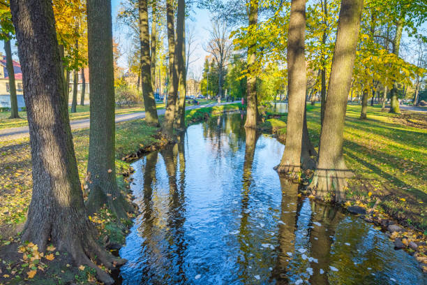 istock Arkadijas  park in Riga, district agenskalsns. Autumn, yellow tree leaves and reflection. 2017 865623950