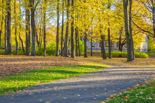 istock Arkadijas  park in Riga, district agenskalsns. Autumn, yellow tree leaves and reflection. 2017 865624236