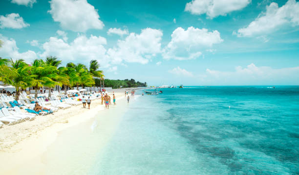 Beautiful sandy beach on Cozumel island, Mexico stock photo