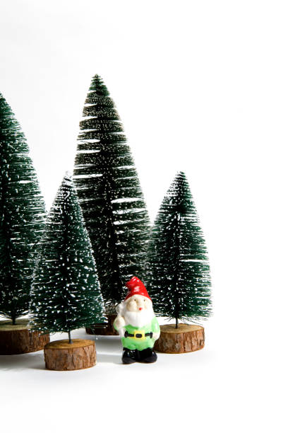 istock Forest firs and garden gnome 865636258