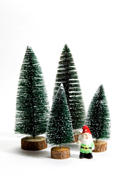 istock Forest firs and garden gnome 865636276