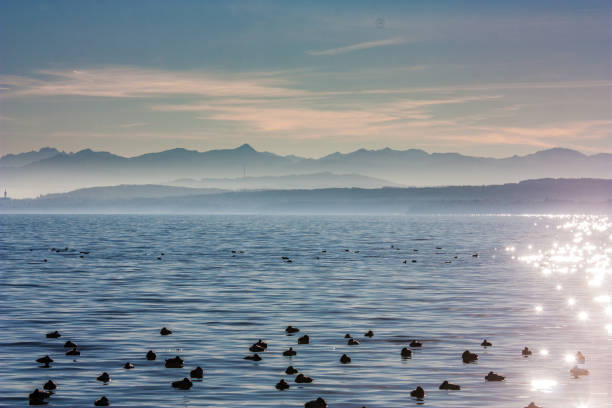 озеро и горы - ammersee стоковые фото и изображения