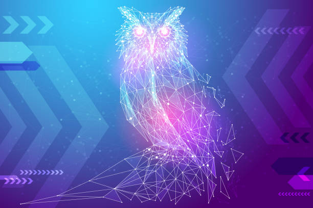 ilustrações de stock, clip art, desenhos animados e ícones de owl bird low poly color - owl clover