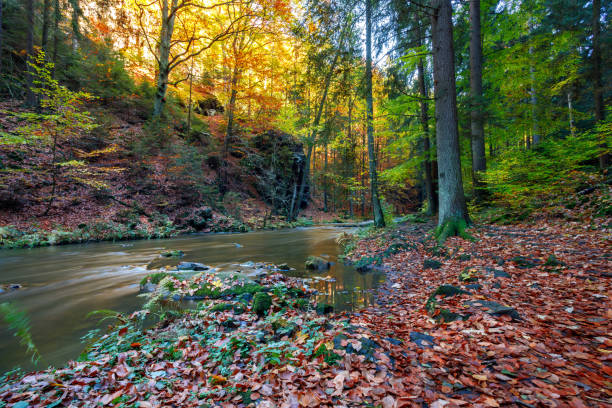 istock Autumn, fall wild river Doubrava, picturesque landscape. 865648824
