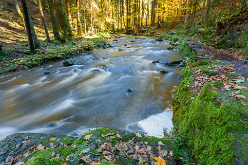czech mountain wild river Doubrava in Czech Republic with slow shutter speed. Valley in beautiful autumn fall colors. Picturesque landscape.