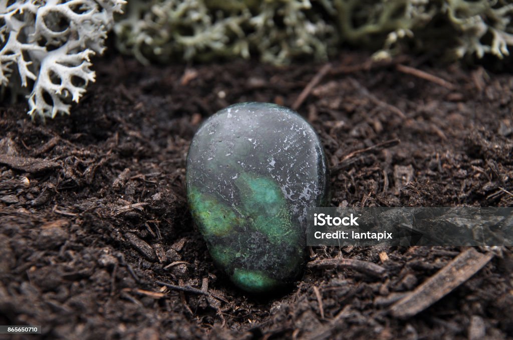 Zoisite on forest floor Arm Stock Photo