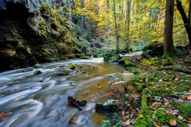 istock Autumn, fall wild river Doubrava, picturesque landscape. 865651218