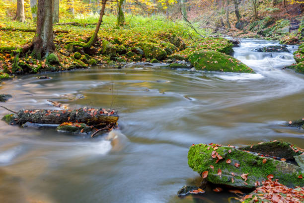 istock Autumn, fall wild river Doubrava, picturesque landscape. 865652320